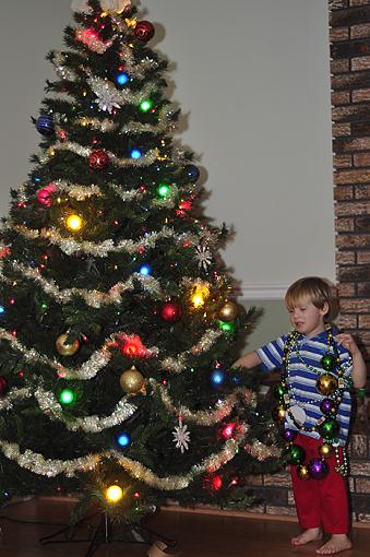 Decorating the tree &amp; grandson-_dsc1920.jpg