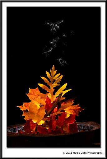 October Project : Fall Atmosphere-_mg_5444.jpg