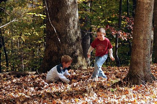 October Project : Fall Atmosphere-dsc_3543-2-1000.jpg