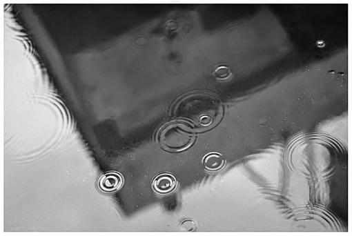 January 2012 Project - B&amp;W Photography-rain-bwx1c.jpg