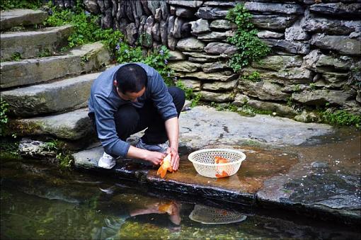 April project....Workers-washgoldfish.jpg