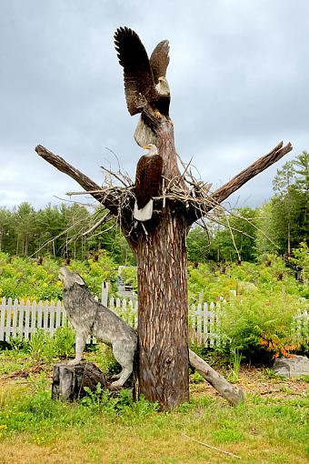 On the road w/ the A700-eagle-chainsaw-art-small-.jpg