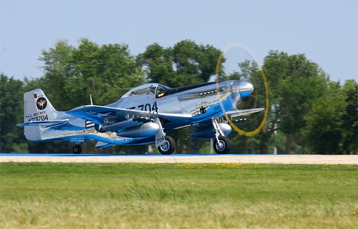 a700 AF and tracking very slow and blury-p-51-free-paint-job-2-.jpg