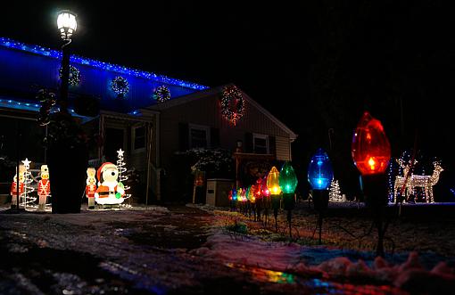 Christmas lights?-dogs-eye-view-96-percent.jpg