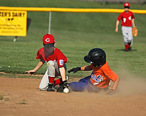 Little Guy Baseball-dsc_7279.jpg