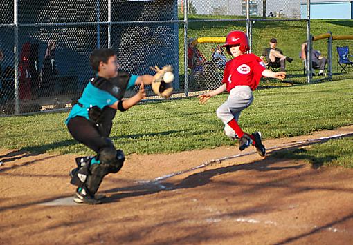 Little Guy Baseball-dsc_7382.jpg