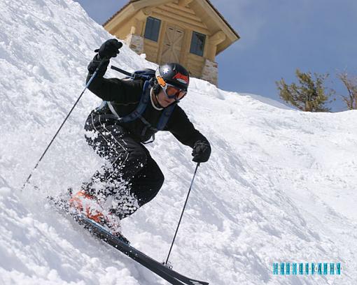 Snowbasin-dooog.jpg