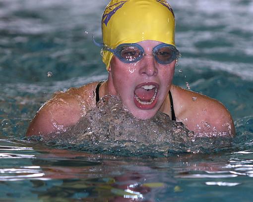 Girls High School Swimming-hono1web.jpg