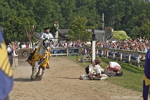 A Joust Anyone?-renaissance-3.jpg