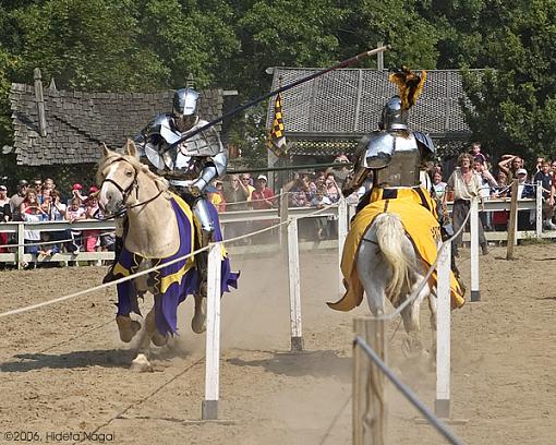 A Joust Anyone?-renaissance-4.jpg