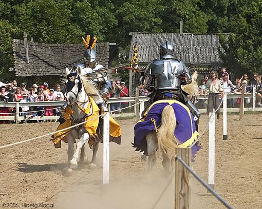 A Joust Anyone?-renaissance-5.jpg