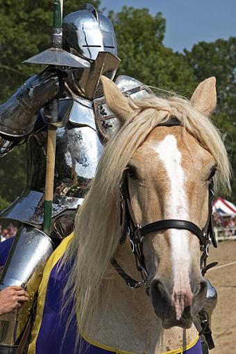 A Joust Anyone?-renaissance-13.jpg