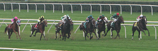 Belmont 9.2306 - Turf &amp; Two year olds-img_6397-_-down-stretch.gif