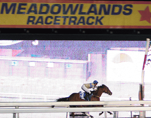 Racing - Meadowlands by Night, Belmont by day ...-img_6678_-mcdynamo.gif