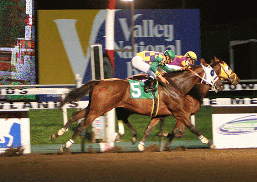 Racing - Meadowlands by Night, Belmont by day ...-img_6739_-wire-brett.gif