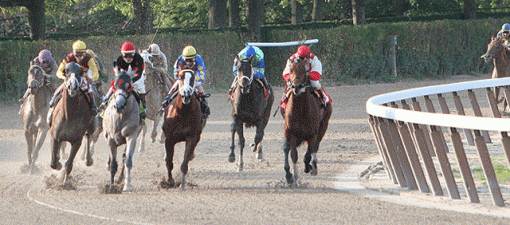 Racing - Meadowlands by Night, Belmont by day ...-img_6974-race-8-far-turn.gif