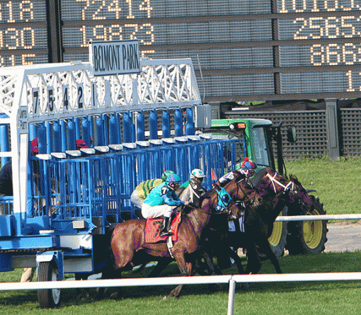 Belmont - Fall Championship Race Day-img_7321-_-flower-bowl-star.gif