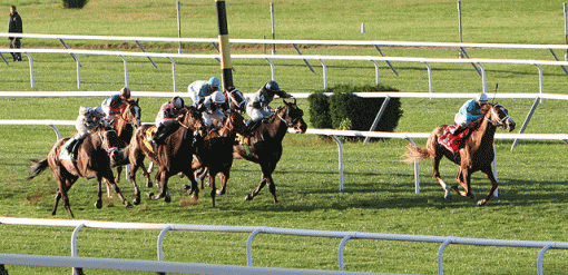 Belmont - Fall Championship Race Day-img_7621-_-down-stretch.gif