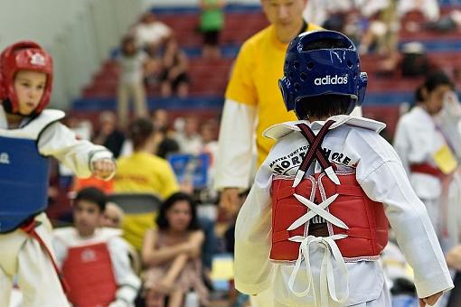 Taekwon-Do Tournament-taekwondo-ready.jpg