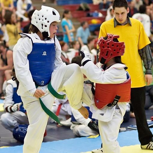 Taekwon-Do Tournament-taekwondo-big-small.jpg