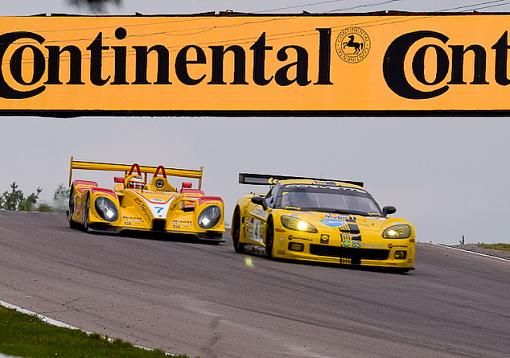 American Le Mans race - Aug 24 2008 - Mosport Park, Bowmanville, Ontario-posting-resized-23.jpg