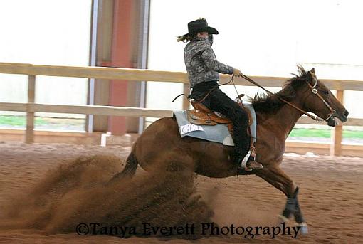 Horse Show...-shs15.jpg