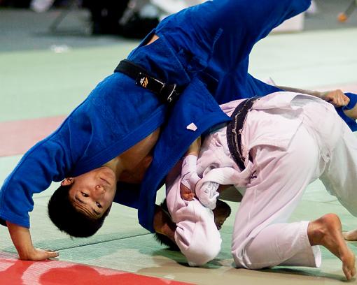 A couple of Judo shots-judo-1-tumbling.jpg