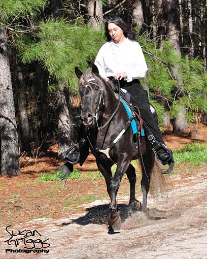 New Horses-dsc_4132-lr.jpg