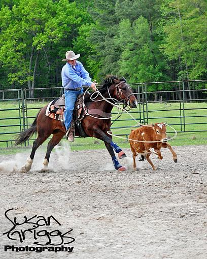 Ropin!-0262-website.jpg