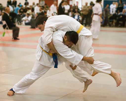 ISO 25600 Judo shots-pick-up.jpg