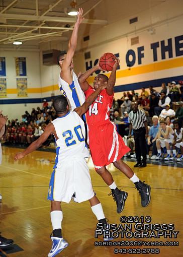 Roundball in SC-sgp_9463-website.jpg