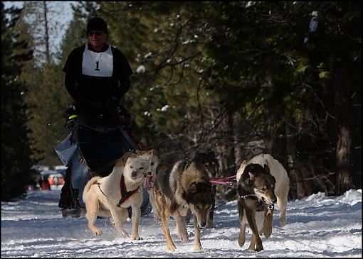 Iditarod Dogsled Qualifying Races-2.jpg