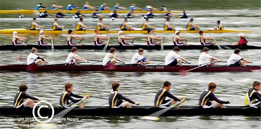 Regatta-regatta-1.jpg