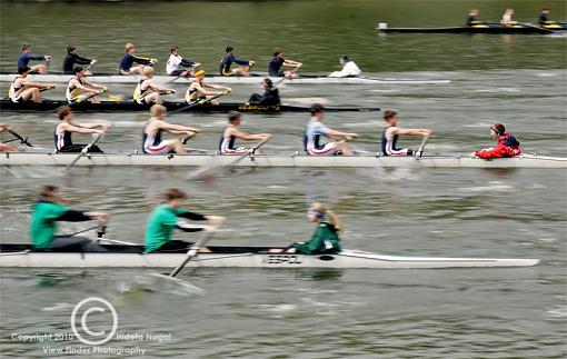 Regatta-regatta-2.jpg