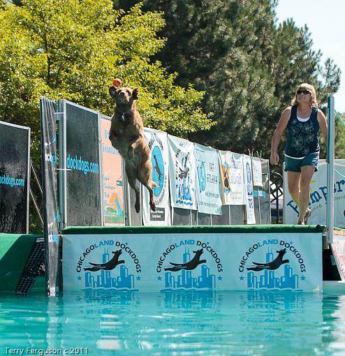 Dock Jumping...-aa_dsc3371.jpg