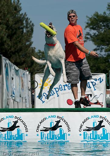 Dock Jumping...-ab_dsc3604.jpg