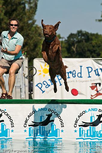 Dock Jumping...-ac_dsc3624.jpg