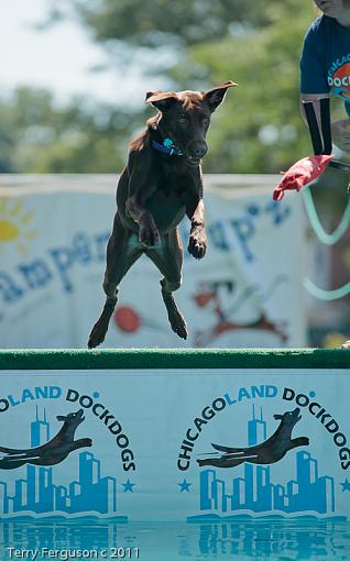 Dock Jumping...-ba_dsc3290.jpg