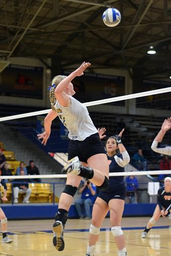 NCAA Volleyball-14666633-lg.jpg