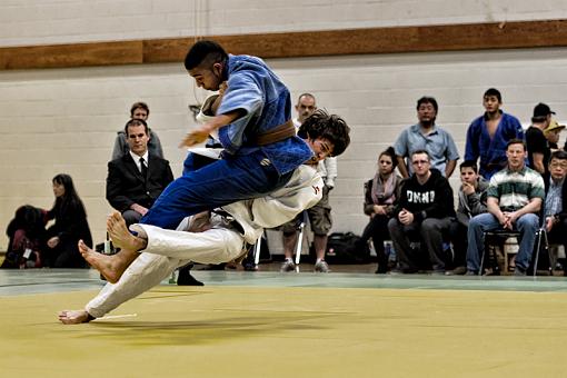 Some Judo shots-coming-down-120311_0852.jpg