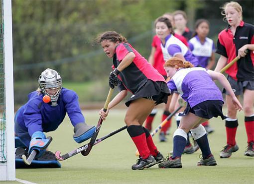 First Field Hockey Frenzy-pf300.jpg