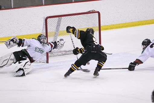 Section Tournament Hockey-img_0076.jpg