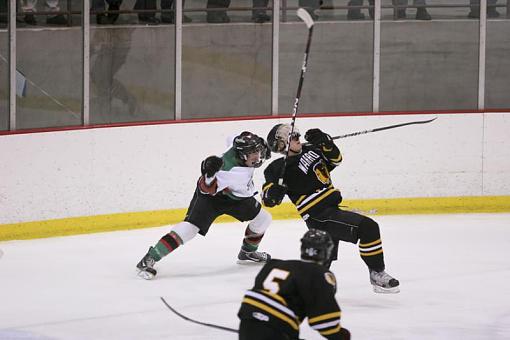 Section Tournament Hockey-img_0103.jpg