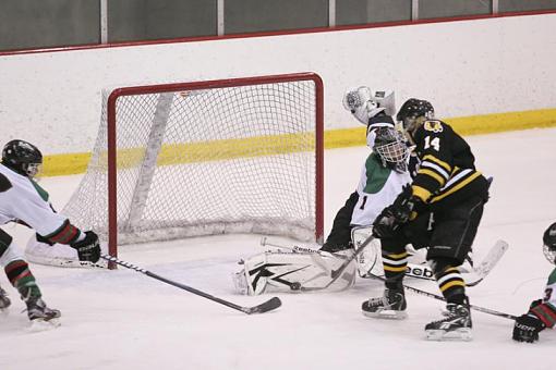 Section Tournament Hockey-img_0302.jpg