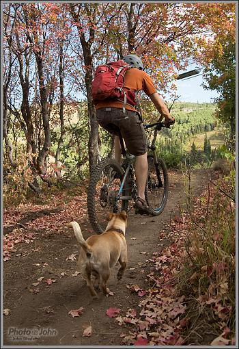 Horchata The Mountain Bike Doggy!-_igp1359.jpg