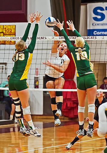 Volleyball: Chico State whips Cal Poly Pomona-7rb_3620_2.jpg