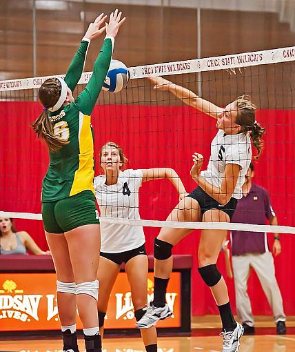 Volleyball: Chico State whips Cal Poly Pomona-7rb_3491_2.jpg