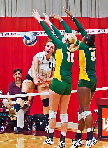 Volleyball: Chico State whips Cal Poly Pomona-7rb_3827_2.jpg