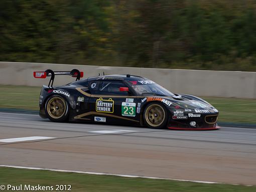 Petit Le Mans-_1186635.jpg