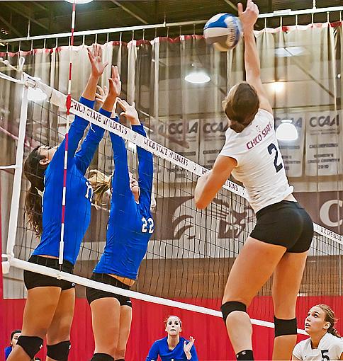 College volleyball: Chico State bested by tough opponent-7rb_9194_2.jpg